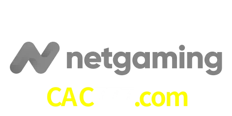 NetGaming