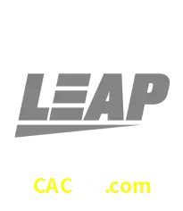 Leap